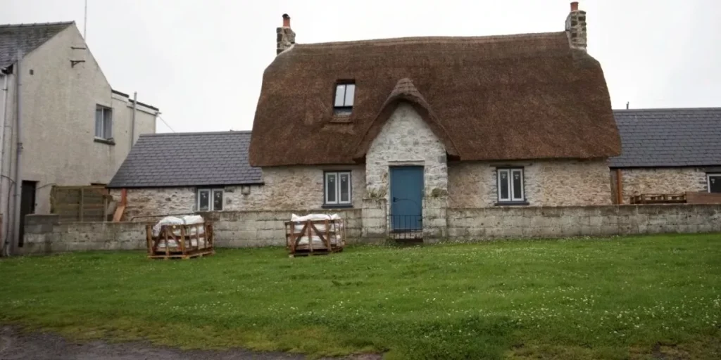 The Benefits of Dethatching Your Lawn